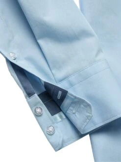 Einstein-Hemd -Men's Clothing Verkäufe EC10 7340 DH 1