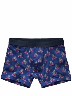 Irre Zebra-Pants -Men's Clothing Verkäufe EC22 4189 FA 1