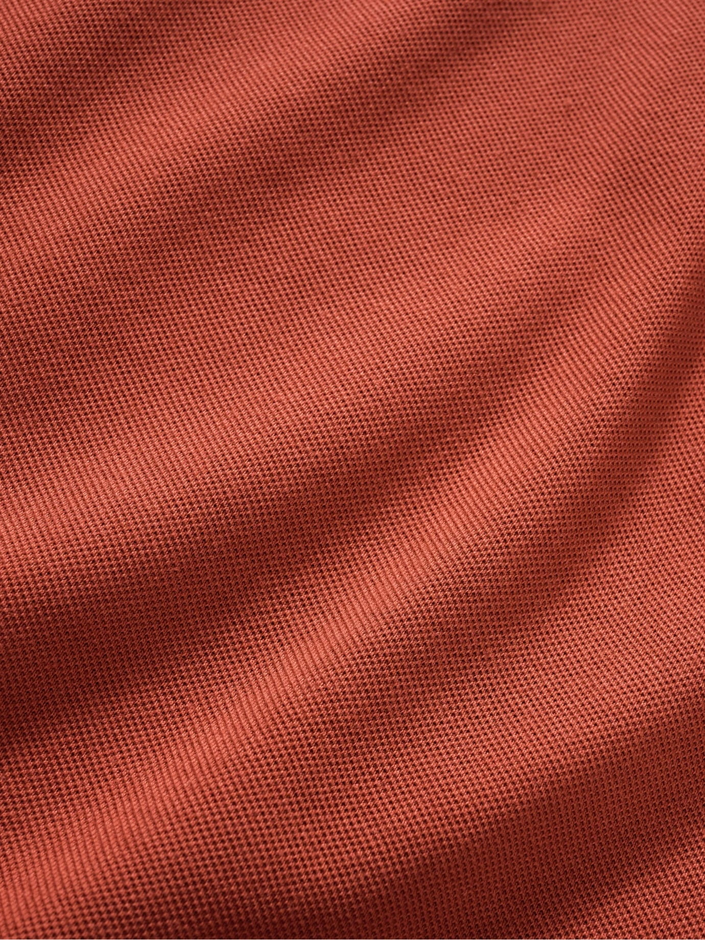 Großes-Plus-Polo 10 Großes-Plus-Polo – Bild 10