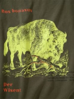 Wisent-Shirt -Men's Clothing Verkäufe EC23 6250 DG